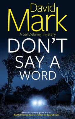 Don't say a word  cover image cdn