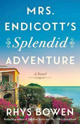Mrs. Endicott's splendid adventure cover image cdn