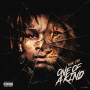 One Of A Kind cover image cdn