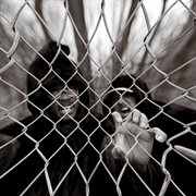 Beats For Brothels, Vol. 8 cover image cdn