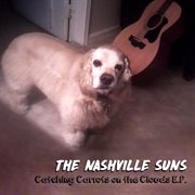 Catching Carrots On The Clouds cover image cdn