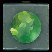 Mosaics Within Mosaics cover image cdn