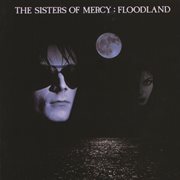 Floodland (2006 Remaster) [Expanded Deluxe Version] cover image cdn
