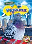 Pigeons cover image cdn