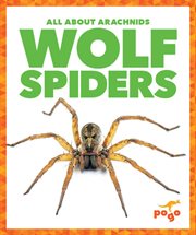 Wolf Spiders cover image cdn