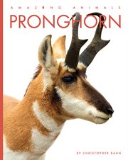 Pronghorn cover image cdn