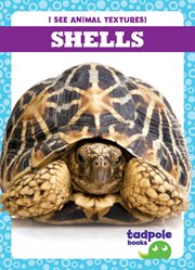 Shells cover image cdn