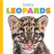Baby Leopards cover image cdn