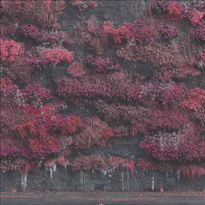 Even in Arcadia cover image cdn