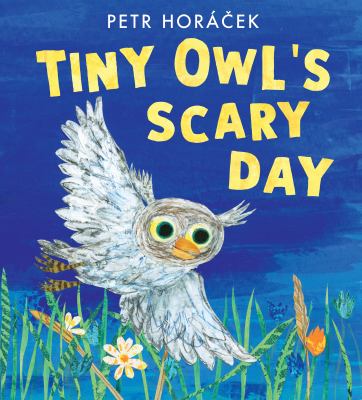 Tiny Owl's scary day  cover image cdn