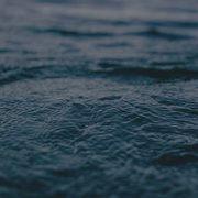 Serene Melodies cover image cdn