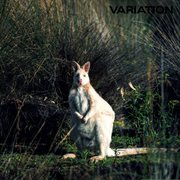 Variation cover image cdn