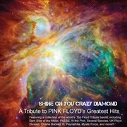 Shine On You Crazy Diamond: A Tribute To Pink Floyd's Greatest Hits cover image cdn