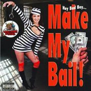 Make My Bail Bad Boy! cover image cdn