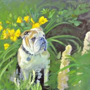 Suneaters Iii: Unfathomable Darkness cover image cdn