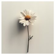 Um Novo Tempo cover image cdn