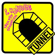 Teen Pop Sensation cover image cdn