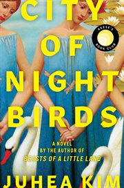 City of Night Birds cover image cdn