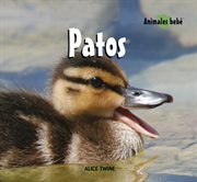 Patos (ducks) cover image cdn