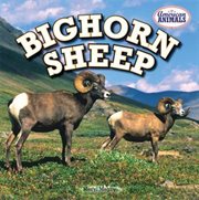 Bighorn Sheep cover image cdn