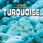Turquoise cover image cdn