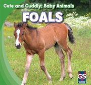 Foals cover image cdn