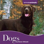 Dogs cover image cdn