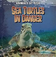 Sea Turtles in Danger cover image cdn