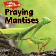 Praying Mantises cover image cdn