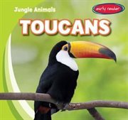 Toucans cover image cdn