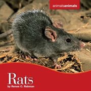 Rats cover image cdn
