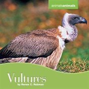 Vultures cover image cdn