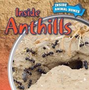 Inside Anthills cover image cdn