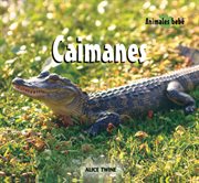 Caimanes (Alligators) cover image cdn