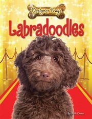 Labradoodles cover image cdn