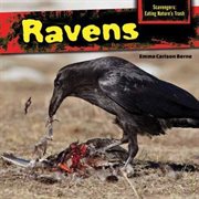 Ravens cover image cdn