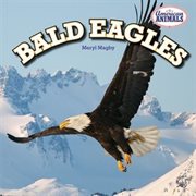 Bald Eagles cover image cdn