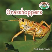 Grasshoppers cover image cdn