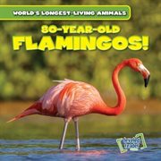 80-Year-Old Flamingos! cover image cdn