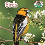 Birds cover image cdn