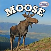 Moose cover image cdn