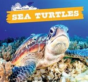 Sea Turtles cover image cdn