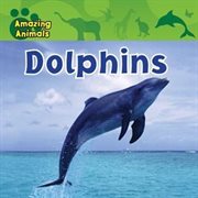 Dolphins cover image cdn