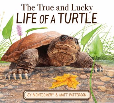 The true and lucky life of a turtle  cover image cdn