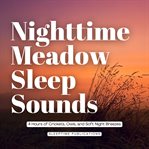 Nighttime Meadow Sleep Sounds : 4 Hours of Crickets, Owls, and Soft Night Breezes cover image cdn