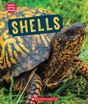 Shells cover image cdn
