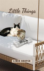 Little Things cover image cdn