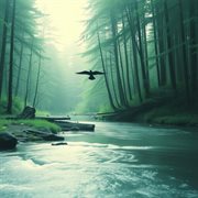 Zen Serenity: Yoga & Meditation Music : Yoga & Meditation Music cover image cdn