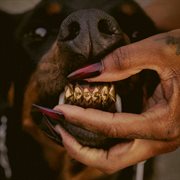 Mutt Deluxe: Heel : Heel cover image cdn