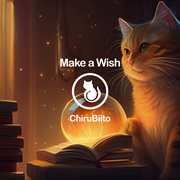 Make A Wish cover image cdn